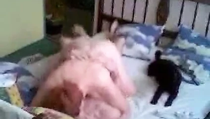 Jacqueline Biagioli je me fais baiser