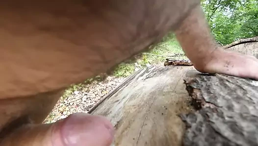 Ormanda biraz eğlence bölüm 2 (cuming)