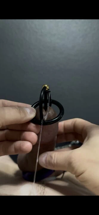 Yarak üretra elektrikli sağım