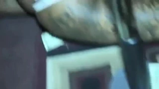 Siyah striptizci, büyük bir şişman azz ganimet twerkin zekası! görmeli