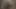 Döl sıçraması ile ormanda oral mutluluk - siyah xxx porno!