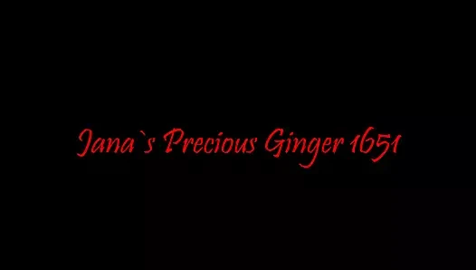 Değerli zencefil 1651