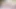 Digitalplayground - anikka albrite stevie shae - kedi melek