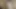 bağlı köle çocuk üzerinde yapay penis post