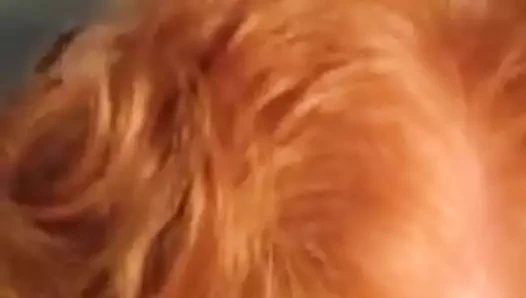 Siyah yarağı emiyor