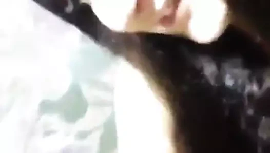 türk gf gönderir KEDİ