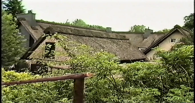 Foxy Lady's Kamera 2