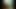 vines