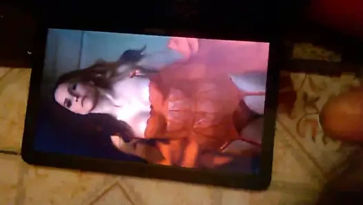 Sophia çalı haraç (istenen)