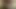 Gays Cum Blast and Nasty Blowjobs