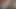 Şanslı bir yarak iki ateşli amcık yarağını sikiyor