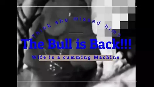 Ateşli eş - tekrar deneyin