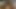 Traumfrau sucht das perfekte FIck Date