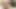 Asyalı web kamerası modeli-- japon aki-- anal yapıyor