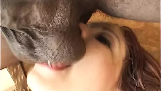 Cesur bir alman genç üç sert ve yüklü bbc'leri memnun ediyor