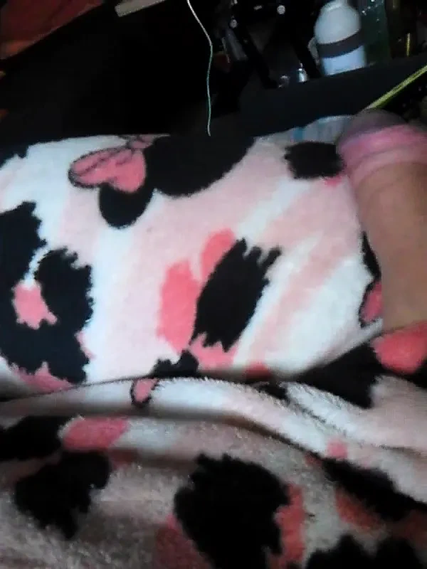 İnek kendini sağıyor