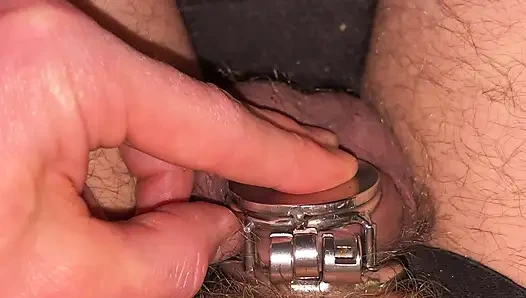 Küçük bekaret kafesini penis tıkacıyla mikro düz bekaret kafesine değiştiriyor