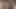 Halley Hill şehvetli bir kolej oral seksi için büyük sert bir yarağı kırbaçlıyor