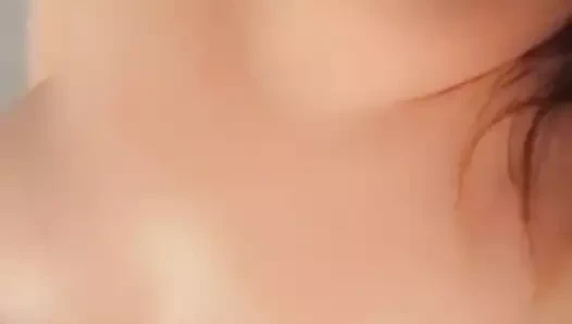 Şişman kedi oyuncak