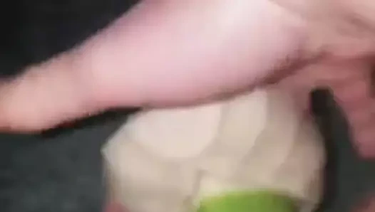 Terra the Amazon Wyvern