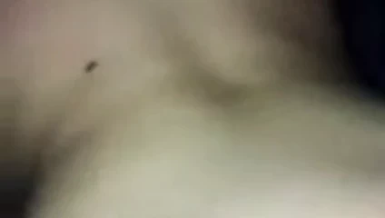 Becerdin onu ıslak kedi köpek