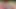 Büyük yaraklı transeksüel büyük götünde anal seksi seviyor - ai generated hentai