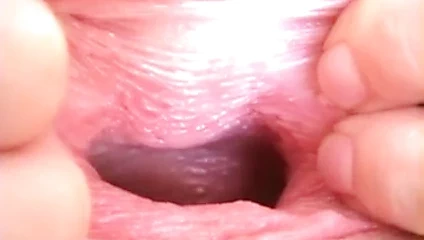 Sarışın tatlı kedi yakın çekim ve spekulum görünümü