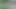 png 2k20 eski video