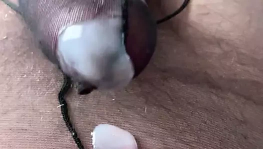 Cum içinde kılıf külotlu çorap tayt