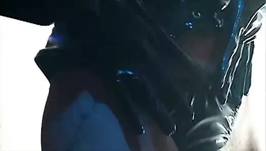 mavi yıldız çiçeği