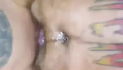 harika ıslak KEDİ sürgülü