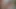 Döküm seksi tavşan iş sert oral seks seks ve kedi yaladı