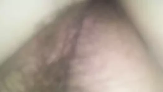 Una hermosa concha