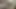 Yahudi İsrailli sharmuta Arap yarağı alıyor