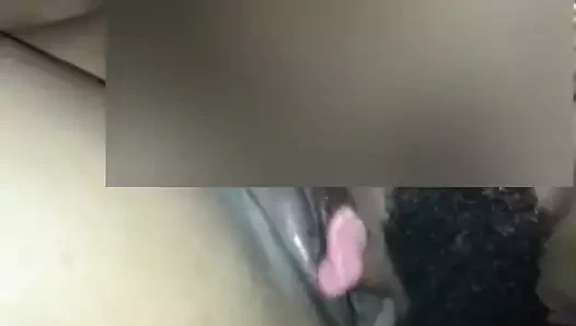 Emme ve yalama o çikolata kedi