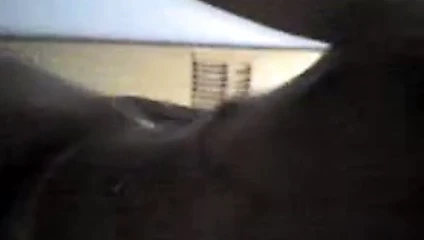 Safada de