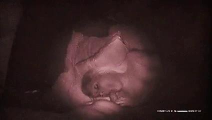 İki horoz için hazır