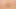 Veronica gül solo altın yapay penis