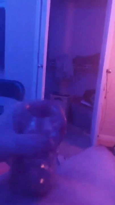 Yeni oyuncak büyük deli
