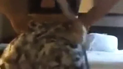 Loira amadora rabuda sensualizando gostoso