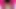Pembe kadın kılıklı