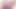 Shemaleidol sophia Grace kirli ts sikme