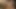 8teenhub - Temmuz Paiva amcığı bambu ormanında da sikiliyor