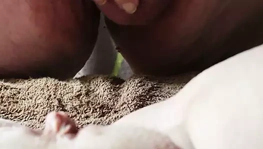 Timsahım n benim kamyon arkadaşım benim kedi kremalı