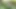 Bts - Sasha Pearl flörtöz bir fotoğraf çekimi sırasında sürtük bir görünüm model ediyor!