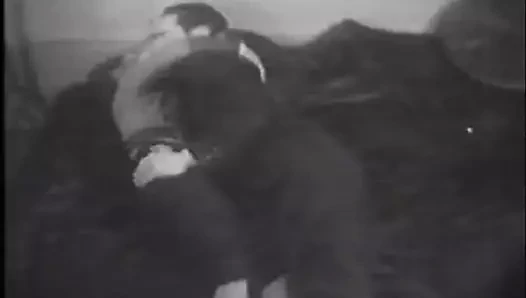 Seks vol.2 özü - bölüm 5