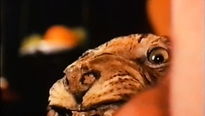 Classic - Les Covergirls De L'agence Amour