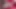 Porno yıldızı Andrea Brown götünü cam dildoyla oynuyor