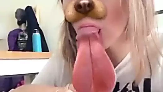 Con filtro de perrito