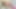 İnce travesti laisa lins götünü sikiş makinesine tedavi ediyor